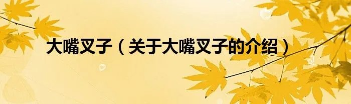 大嘴叉子（关于大嘴叉子的介绍）