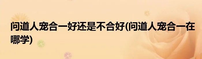问道人宠合一好还是不合好(问道人宠合一在哪学)