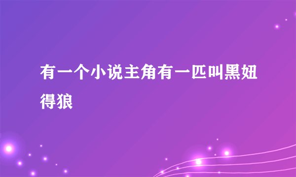 有一个小说主角有一匹叫黑妞得狼