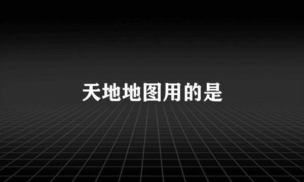 天地地图用的是