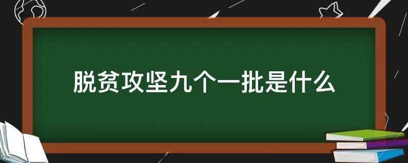 脱贫攻坚九个一批是什么