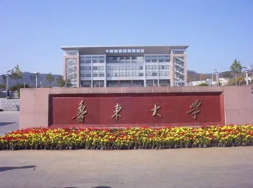鲁东大学