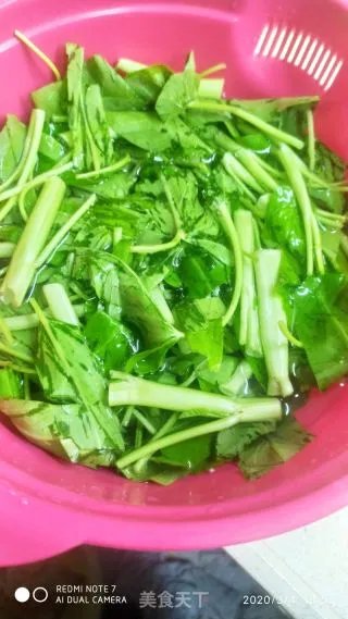 空心菜