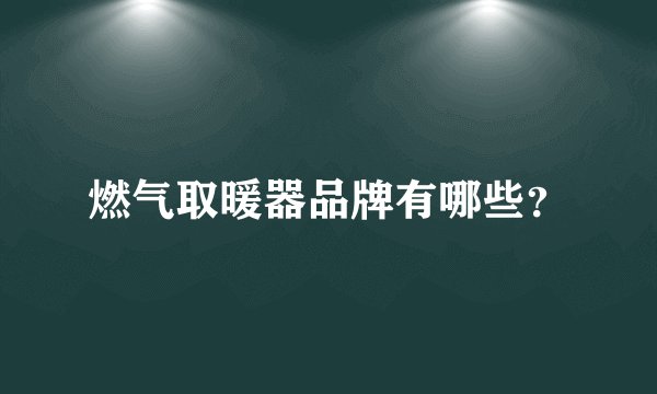 燃气取暖器品牌有哪些?