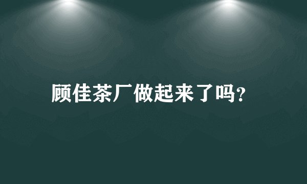 顾佳茶厂做起来了吗?