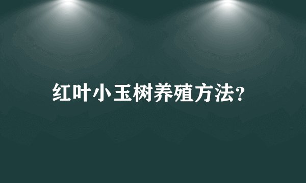 红叶小玉树养殖方法？
