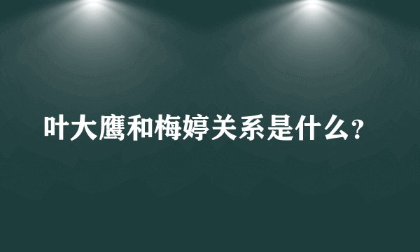 叶大鹰和梅婷关系是什么？
