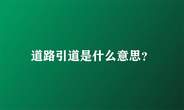 道路引道是什么意思？
