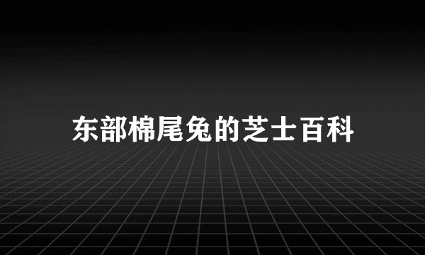 东部棉尾兔的芝士百科
