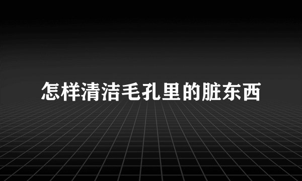 怎样清洁毛孔里的脏东西
