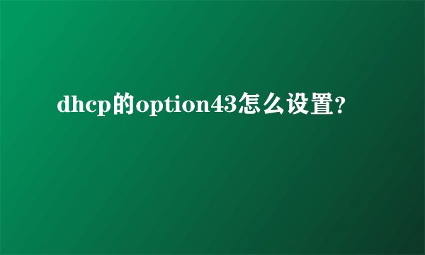 dhcp的option43怎么设置?