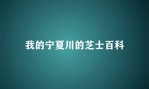我的宁夏川的芝士百科