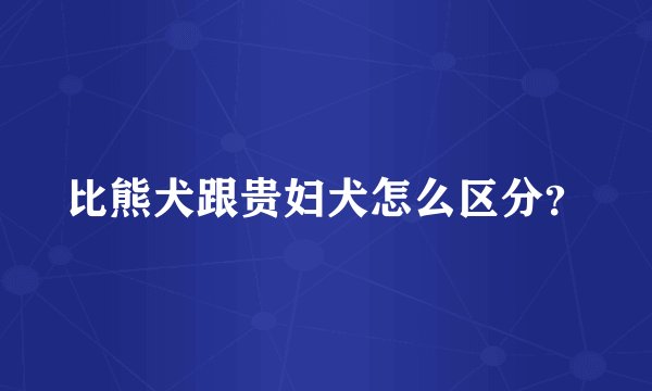 比熊犬跟贵妇犬怎么区分？