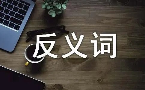 清醒的反义词是什么