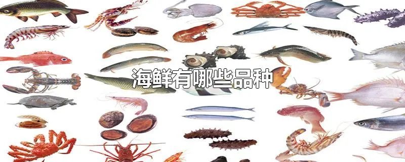 海鲜有哪些品种
