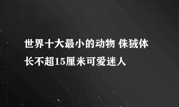 世界十大最小的动物 侏狨体长不超15厘米可爱迷人