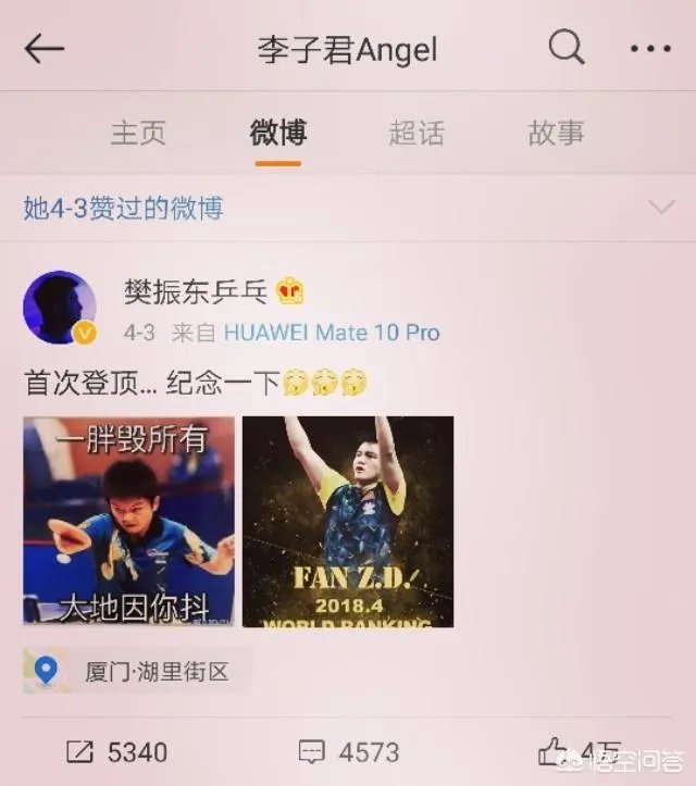 樊振东李子君