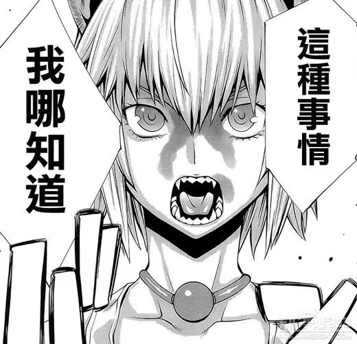 动漫星空晚报:《海贼王》漫画880话发布 《数码宝贝大冒险tri.》最终章宣传图曝光