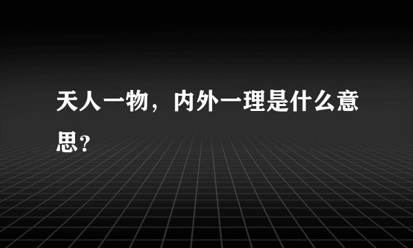 天人一物，内外一理是什么意思？