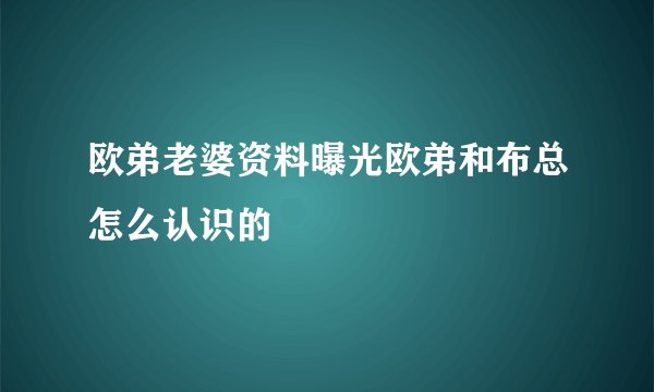 欧弟老婆资料曝光欧弟和布总怎么认识的