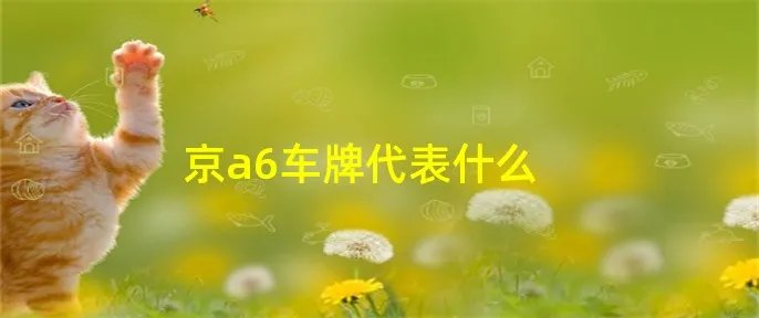 京a6车牌代表什么