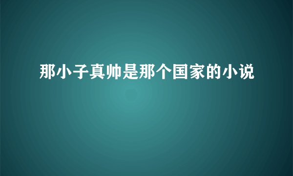 那小子真帅是那个国家的小说