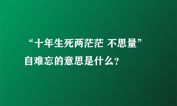 “十年生死两茫茫 不思量” 自难忘的意思是什么?