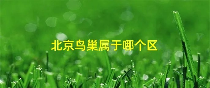 北京鸟巢属于哪个区