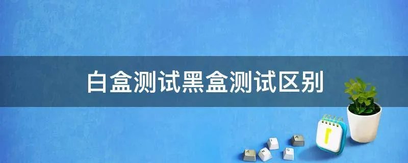 白盒测试黑盒测试区别