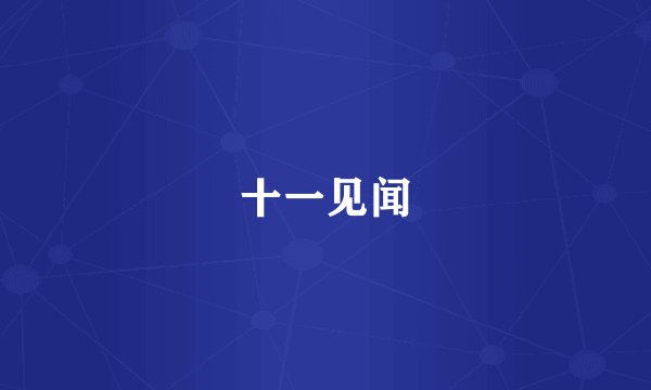 十一见闻