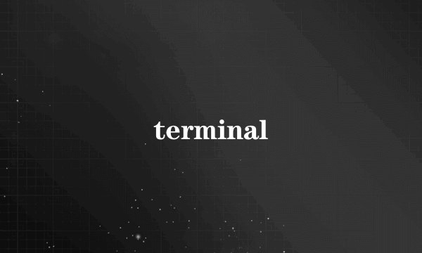 terminal