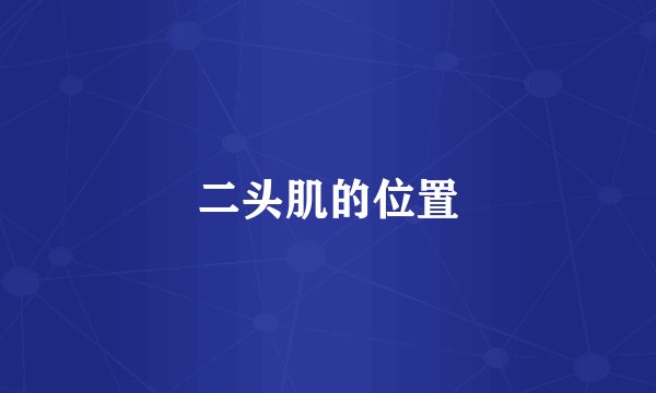 二头肌的位置