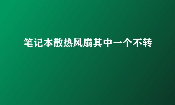 笔记本散热风扇其中一个不转