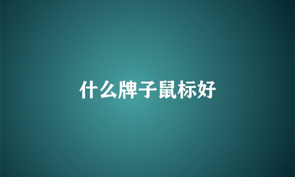 什么牌子鼠标好