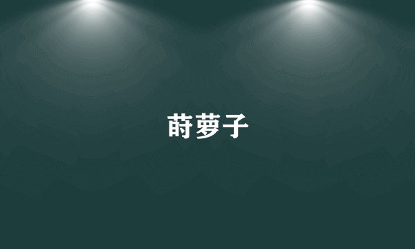莳萝子