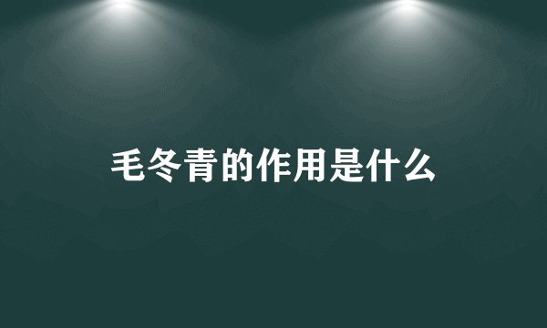 毛冬青的作用是什么