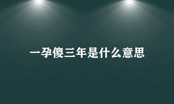 一孕傻三年是什么意思