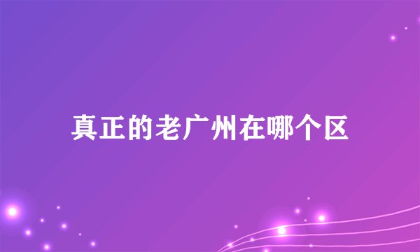 真正的老广州在哪个区