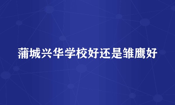 蒲城兴华学校好还是雏鹰好