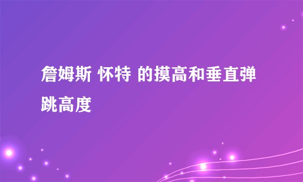 詹姆斯 怀特 的摸高和垂直弹跳高度