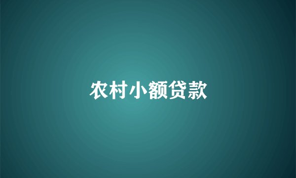 农村小额贷款