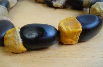 菩提子有哪些种类?菩提子种类大全图片介绍!