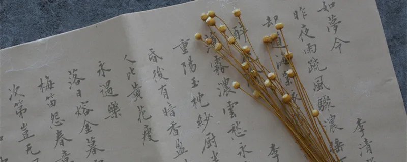 炽读chi还是zhi