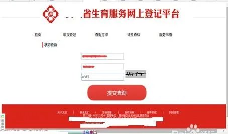 计划生育登记网上查询