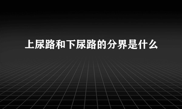 上尿路和下尿路的分界是什么