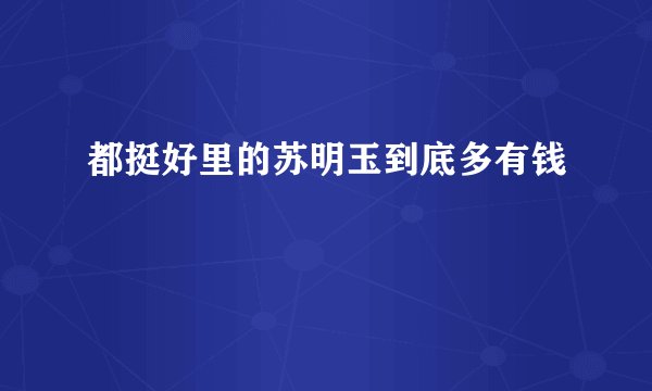 都挺好里的苏明玉到底多有钱