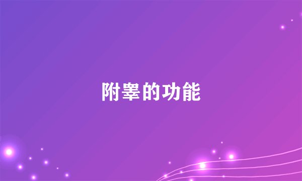 附睾的功能