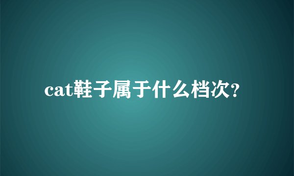 cat鞋子属于什么档次？