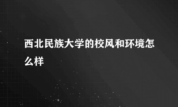 西北民族大学的校风和环境怎么样