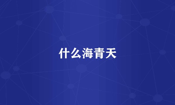 什么海青天